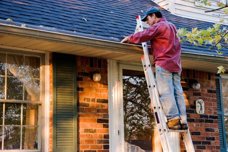 Local Gutter Cover Specialists